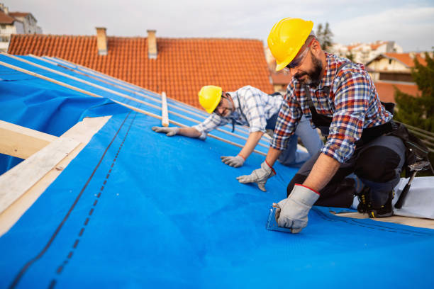 Best Roofing for New Construction  in Floris, VA